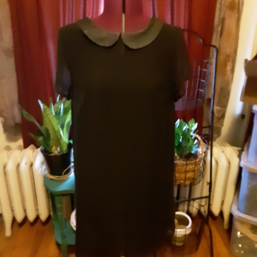 COPY - Mini dress w/ faux leather collar.